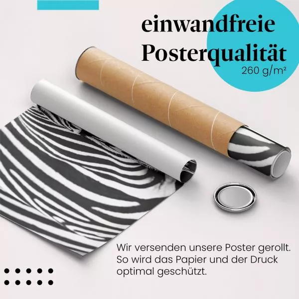 Zebraportrait | Postereck 3920 Zebraportrait | Postereck 3920