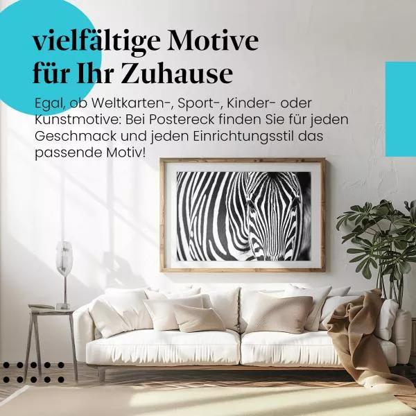 Zebraportrait | Postereck 3920 Zebraportrait | Postereck 3920