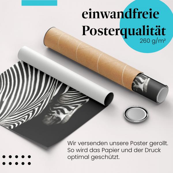Gerolltes Poster "Zebrastreifen". Schwarz-Weiß.