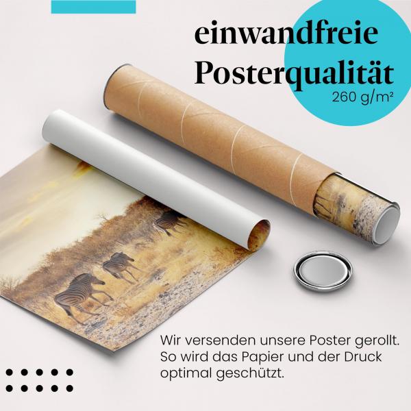 "Zebraherde": Gerolltes Poster, Abendsonne.