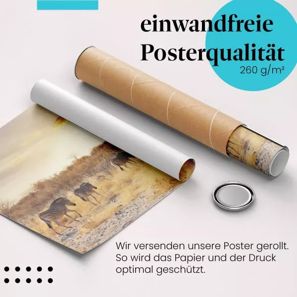 Zebraherde in der Abendsonne | Postereck 1248 Zebraherde in der Abendsonne | Postereck 1248