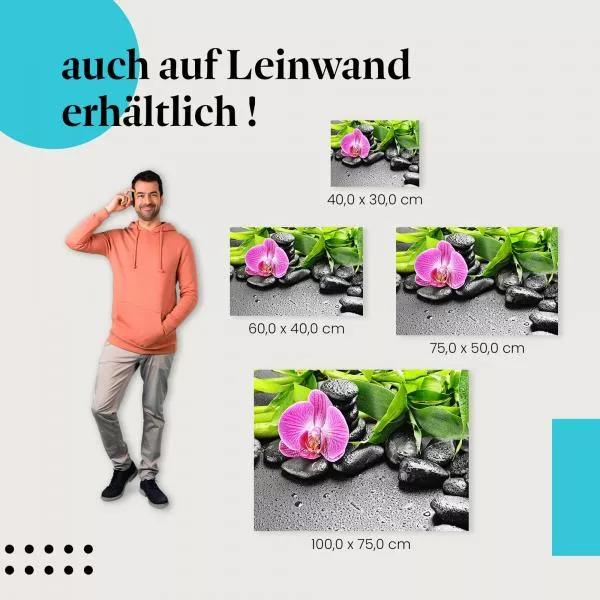 Zen-Garten: Orchidee & Bambus | Postereck 1231 Zen-Garten: Orchidee & Bambus | Postereck 1231