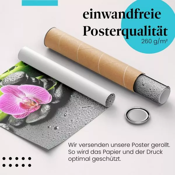 Zen-Garten: Orchidee & Bambus | Postereck 1231 Zen-Garten: Orchidee & Bambus | Postereck 1231