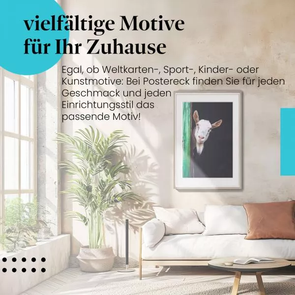 Neugierige Ziege | Postereck 3584 Neugierige Ziege | Postereck 3584