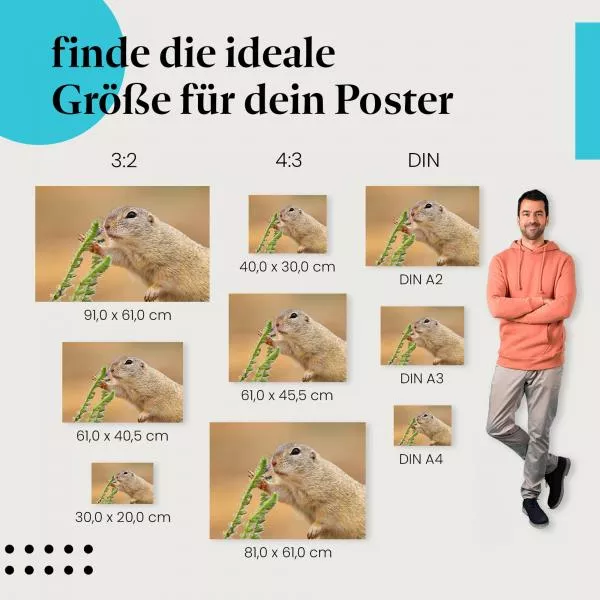 Ziesel & Blume | Postereck 3888 Ziesel & Blume | Postereck 3888