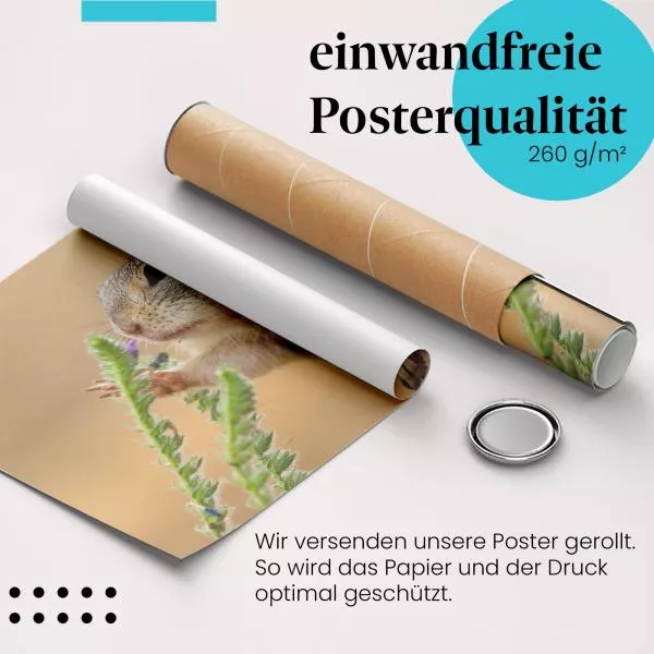 Ziesel & Blume | Postereck 3888 Ziesel & Blume | Postereck 3888