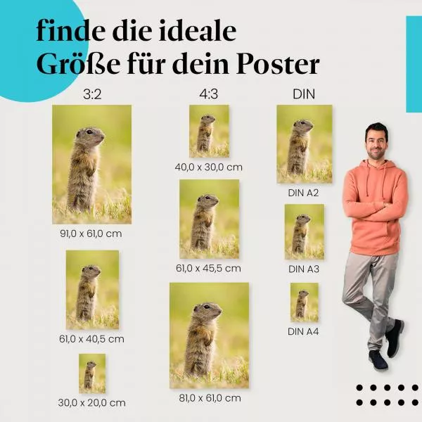 Ziesel | Postereck 4084 Ziesel | Postereck 4084