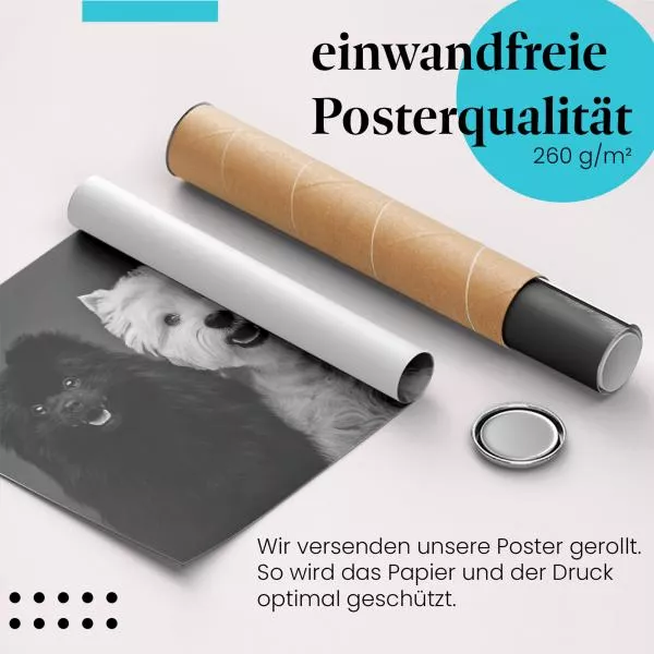 Zwergspitze | Postereck 4078 Zwergspitze | Postereck 4078