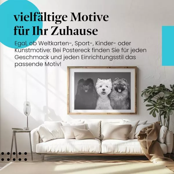 Zwergspitze | Postereck 4078 Zwergspitze | Postereck 4078