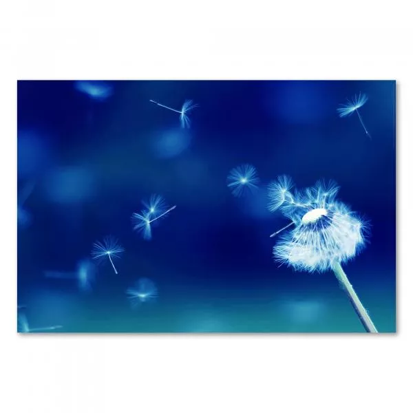 Eine Pusteblume im blauen Licht symbolisiert Freiheit und den Beginn von etwas Neuem. Eine Pusteblume im blauen Licht symbolisiert Freiheit und den Beginn von etwas Neuem.