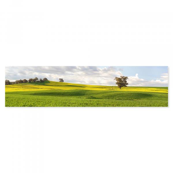 Leuchtend gelbes Rapsfeld, hügelige Landschaft, Wiesen & Bäume, Frühling.
