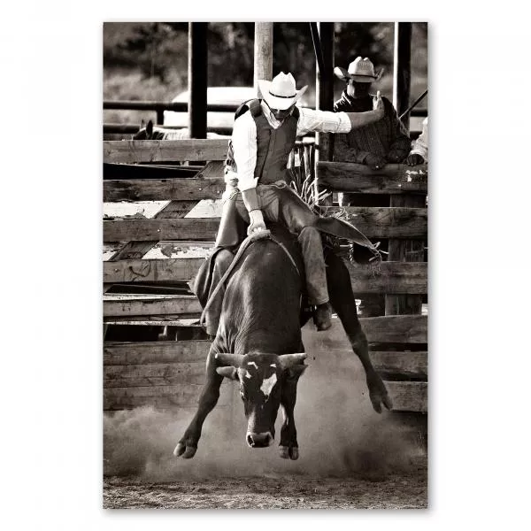 Rodeo-Reiter kämpft auf dem Rücken eines wilden Bullen, während Staub um ihn aufgewirbelt wird. Rodeo-Reiter kämpft auf dem Rücken eines wilden Bullen, während Staub um ihn aufgewirbelt wird.