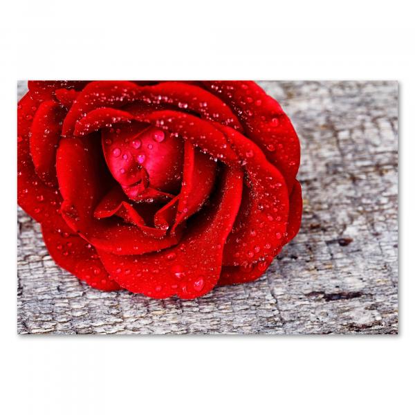 Rote Rose mit Wassertropfen auf Holztisch - Sinnlichkeit & Eleganz.