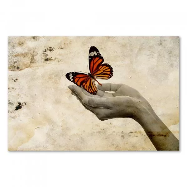 Ein farbenfroher Schmetterling auf einer Hand - ein Bild von Freiheit und Zerbrechlichkeit. Ein farbenfroher Schmetterling auf einer Hand - ein Bild von Freiheit und Zerbrechlichkeit.