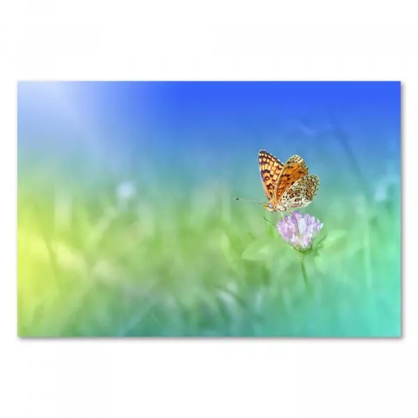 Farbenfroher Schmetterling auf lila Blume, Sonnenstrahlen, grüne Wiese. Farbenfroher Schmetterling auf lila Blume, Sonnenstrahlen, grüne Wiese.