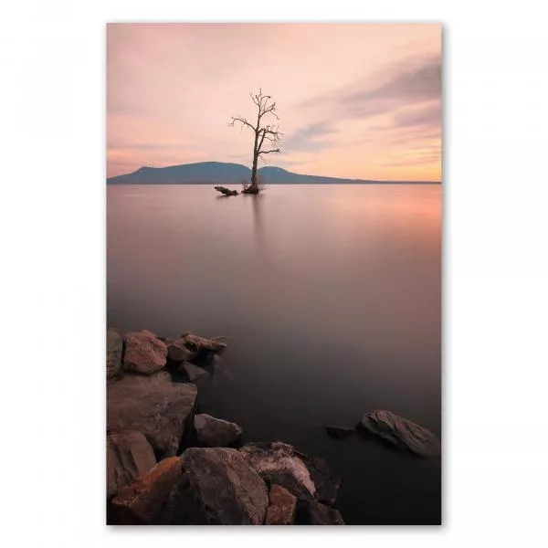 Kahler Baum im Wasser, ruhiger See, pastellfarbener Abendhimmel. Kahler Baum im Wasser, ruhiger See, pastellfarbener Abendhimmel.