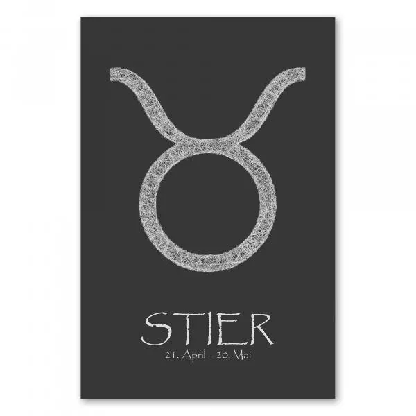 Das Sternzeichen Stier - bodenständig und genussvoll - dargestellt in einer weißen Skizze auf schwarzem Hintergrund. Das Sternzeichen Stier - bodenständig und genussvoll - dargestellt in einer weißen Skizze auf schwarzem Hintergrund.