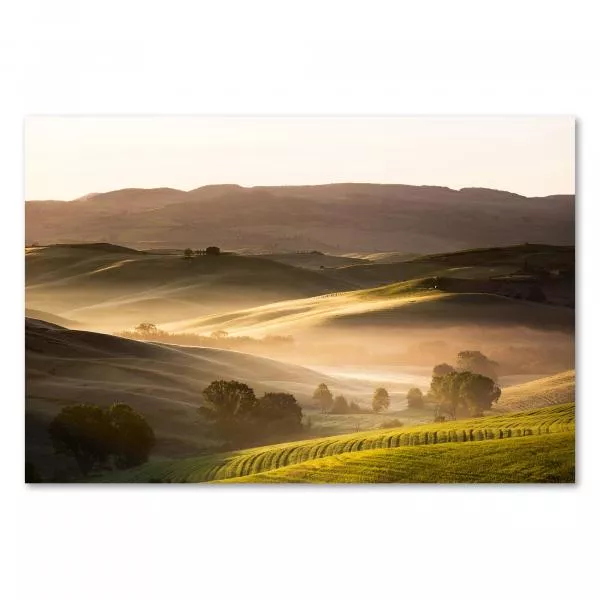 Die sanften Hügel und goldenen Felder der Toskana erstrahlen im warmen Licht der aufgehenden Sonne. Die sanften Hügel und goldenen Felder der Toskana erstrahlen im warmen Licht der aufgehenden Sonne.