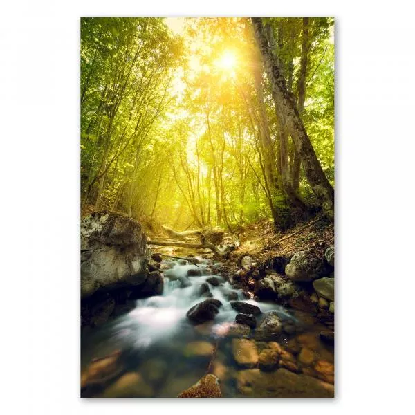 Bach durch Wald, klares Wasser, grünes Blätterdach - Ruhe & Entspannung. Bach durch Wald, klares Wasser, grünes Blätterdach - Ruhe & Entspannung.
