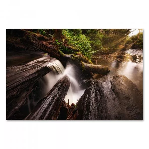 Kleiner Wasserfall, bemooste Baumstämme, Wald, Sonnenstrahlen, magisches Licht. Kleiner Wasserfall, bemooste Baumstämme, Wald, Sonnenstrahlen, magisches Licht.