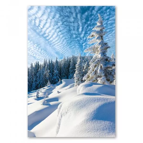 Winterlandschaft: Schneebedeckte Tannen, blauer Himmel, glitzernder Schnee. Winterlandschaft: Schneebedeckte Tannen, blauer Himmel, glitzernder Schnee.