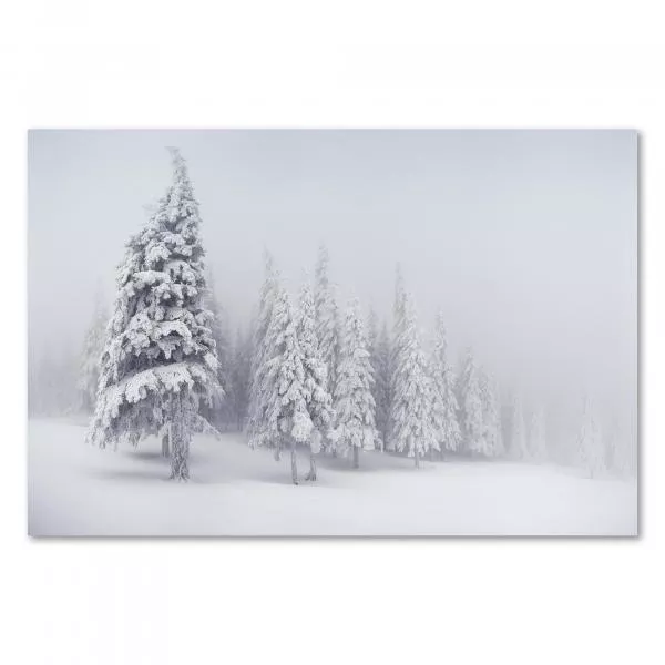 Verschneite Tannenbäume im Nebel - eine mystische und ruhige Winterlandschaft. Verschneite Tannenbäume im Nebel - eine mystische und ruhige Winterlandschaft.