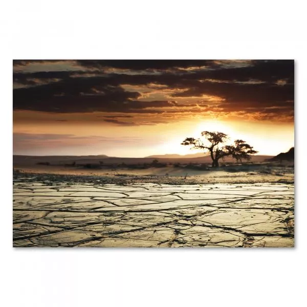 Ein einsamer Baum in der Wüste im Gegenlicht der untergehenden Sonne - ein dramatisches Motiv voller Kontraste. Ein einsamer Baum in der Wüste im Gegenlicht der untergehenden Sonne - ein dramatisches Motiv voller Kontraste.