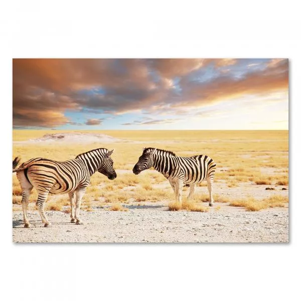 Zwei Zebras stehen sich in der Savanne gegenüber, im Hintergrund ein dramatischer Sonnenuntergang. Zwei Zebras stehen sich in der Savanne gegenüber, im Hintergrund ein dramatischer Sonnenuntergang.